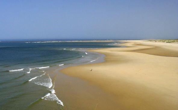 Villa Reve D'Ocean Climatisee Gujan-Mestras Exteriör bild